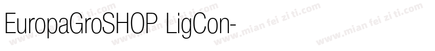 EuropaGroSHOP LigCon字体转换